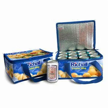 ساخته شده در چین سفارشی نشان داغ فروش قیمت عمده فروشی ارزان کشورهای عضو اکو دوستانه تبلیغاتی چاپ می تواند کیسه های کولر